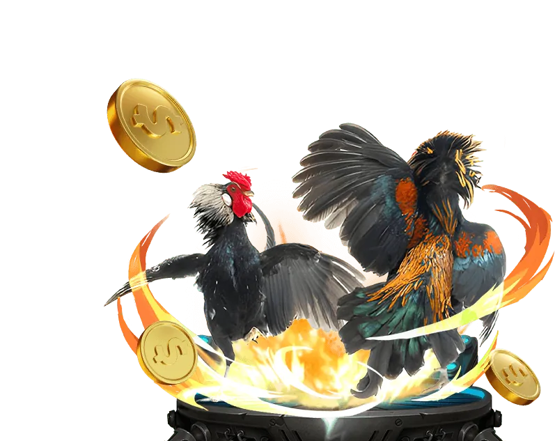 Kèo Wala đá gà 99wim Win